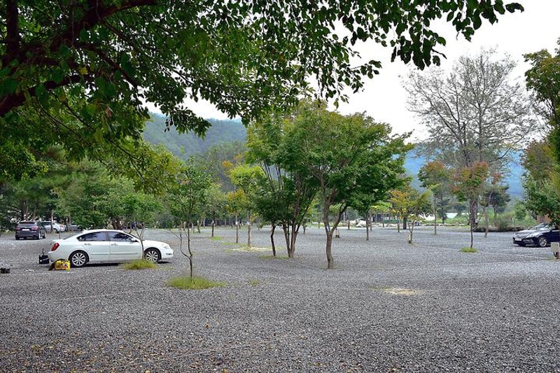 계곡메사 오토캠핑장펜션 대표 사진