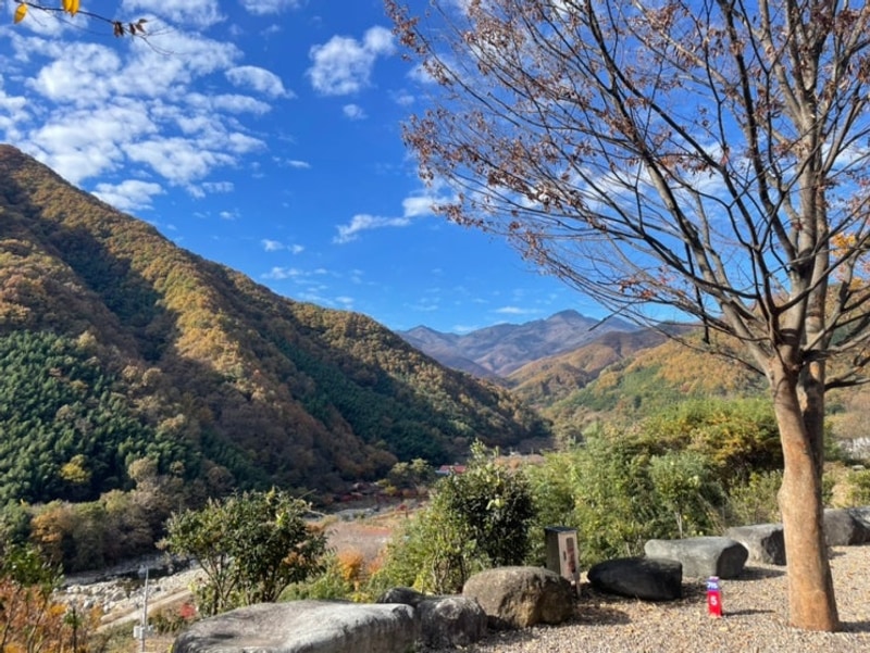 산청 지리산 당근오토캠핑장(구 대경오토캠핑장) 가2사이트 후기