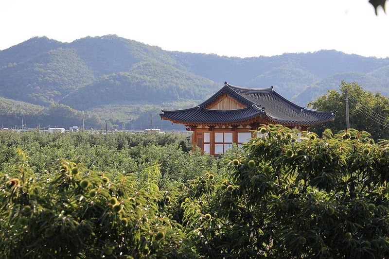 길안 다슬기캠프 시설 사진 23