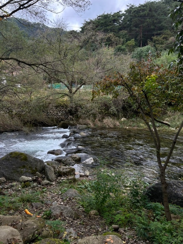 원주 치악신림오토 캠핑장