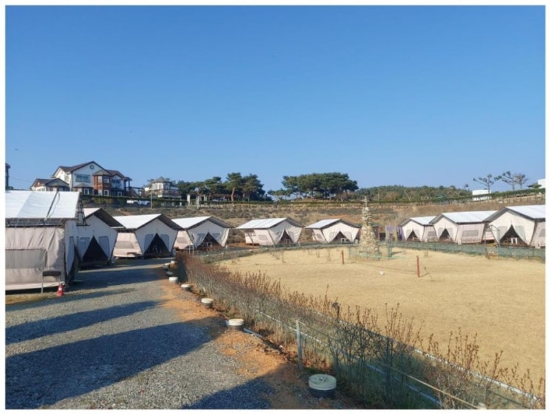 여유로운 하루 태안카라반 태안 안면도 비비애견동반캠핑장