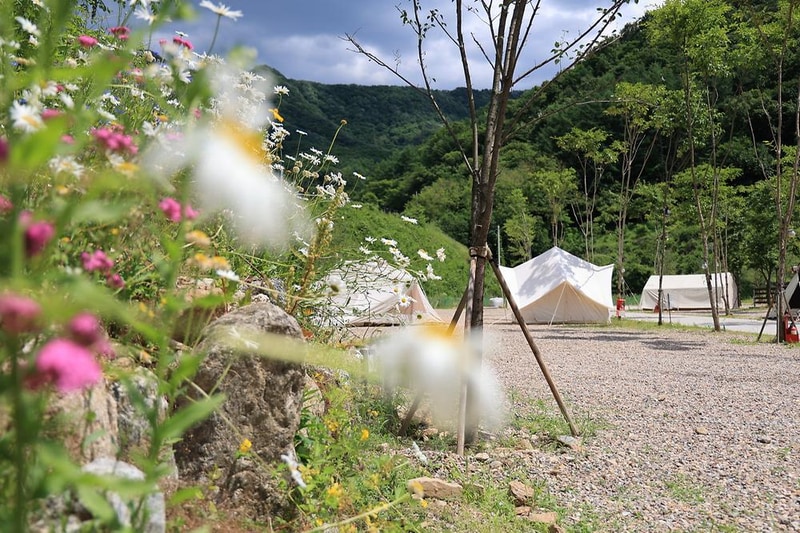 캠프봉봉 시설 사진 8