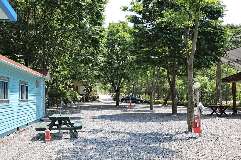 영월 솔향기 캠핑장 시설 사진 6