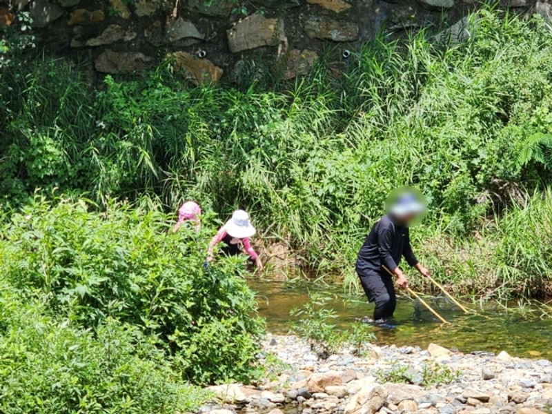 경주 산내 반딧불이오토캠핑장2탄 자연관찰 활동 놀이
