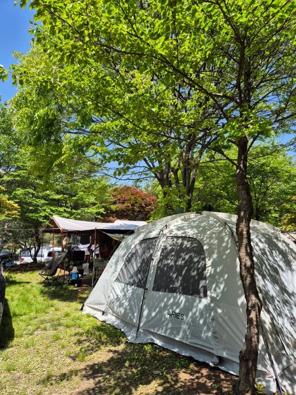 남양주 로코코 캠핑장