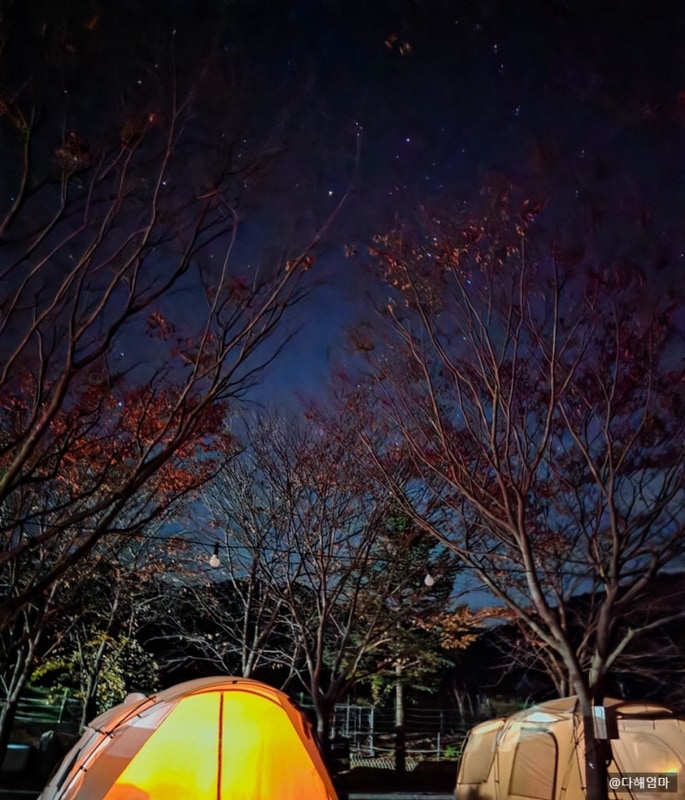 경북 청도 별빛마을 키즈 오토 캠핑장 예약 방문후기