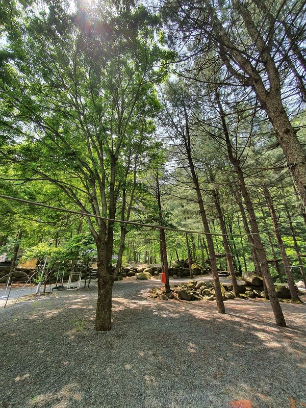 단양 천동계곡 캠핑장 그린농원 시설 사진 4