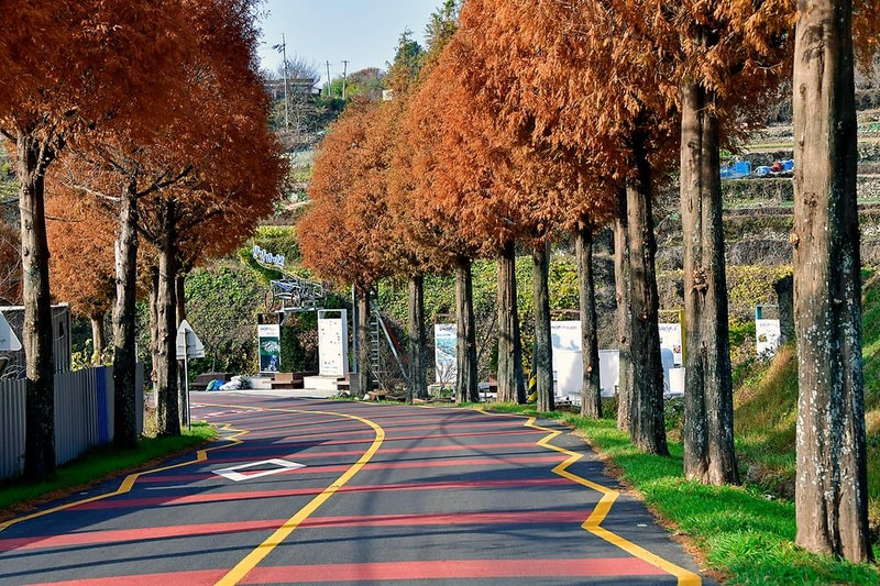 헤밍웨이 글램핑 시설 사진 8