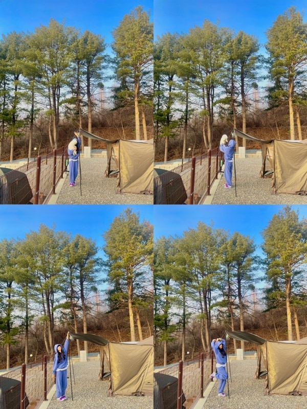 가평애견동반캠핑 포레스트소울 + 양평해장국 + 자잠157