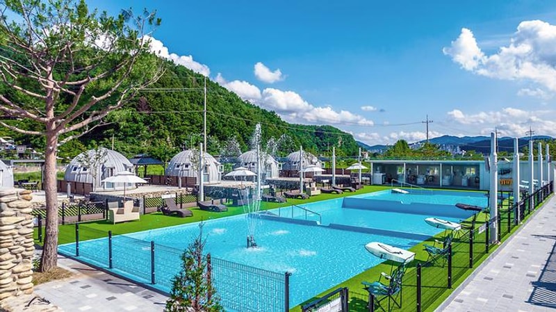 아워 포레스트 대표 사진