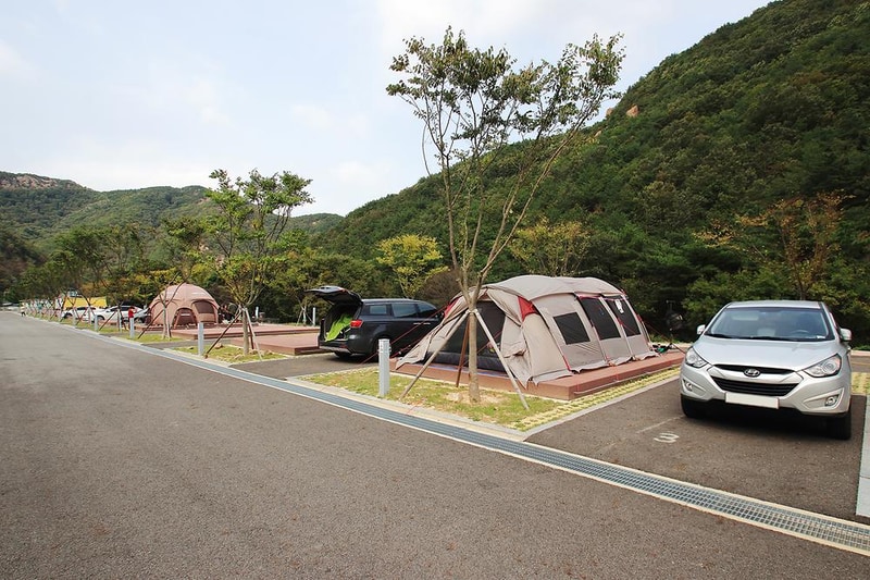 산꽃벚꽃마을 오토캠핑장 시설 사진 2