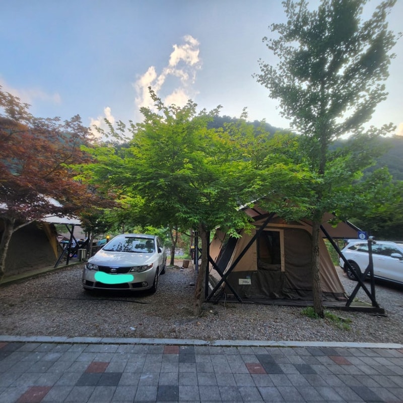J캠핑장 초보 캠핑러도 부담 없이 즐기는 완벽한 가족캠핑장