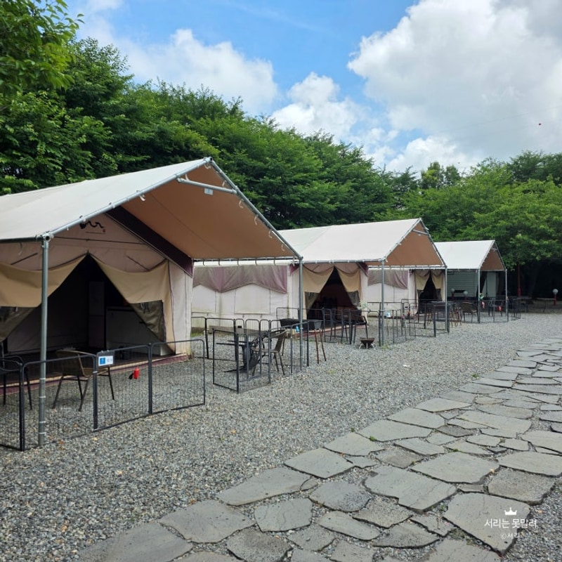 애견글램핑] 강아지랑 함께 놀러 가기 좋은 서산펫앤트리