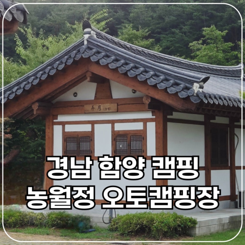 경남 함양 농월정 오토캠핑장 캐빈2 군자 숙박후기