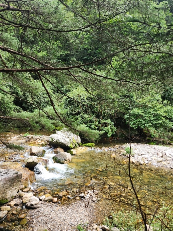 아이와 함께한 영월 사랑나무 캠핑장 후기 : 계곡 물놀이...