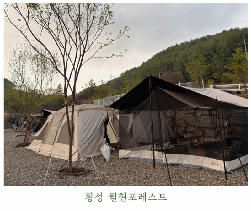 강원도 횡성 신상캠핑장 월현포레스트 명당&놀거리 솔직후기!