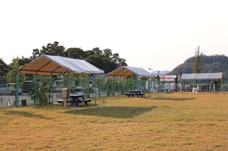 랩도그빌애견캠핑장 대표 사진