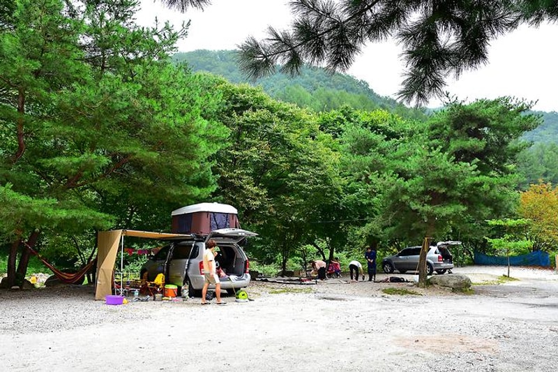 포천계곡캠핑장 대표 사진