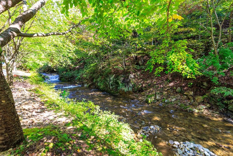 옥당걸숲속관광농원 시설 사진 6