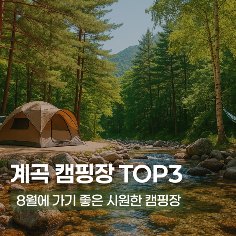 8월에 가기 좋은 시원한 캠핑장 TOP3