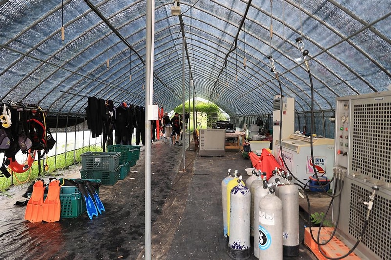 고성 탑 글램핑 농원 시설 사진 7