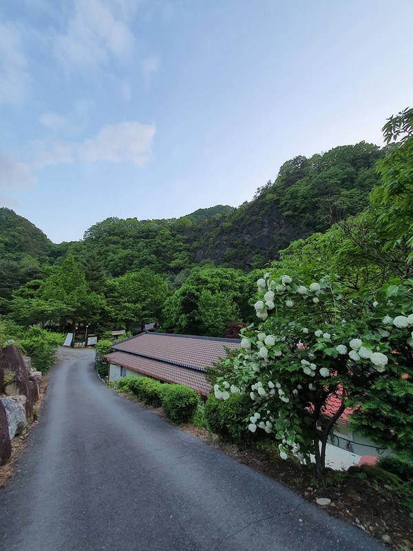 단양 천동계곡 캠핑장 그린농원 시설 사진 19
