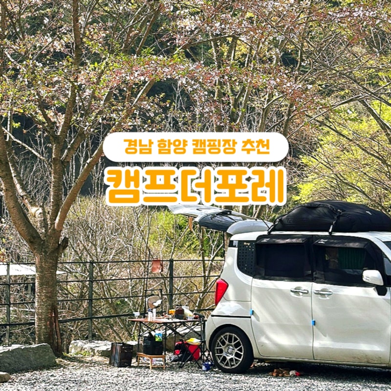경남 캠핑장 차박 함양 캠프더포레 feat. 땡큐캠핑 예약 계곡...