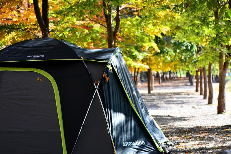 은빛물결캠핑장 시설 사진 16