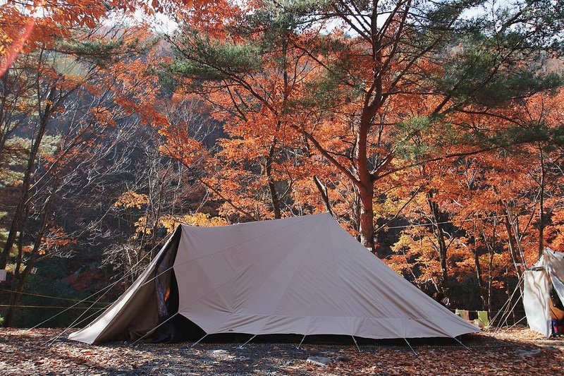 참나무숲 오토캠핑장 시설 사진 14