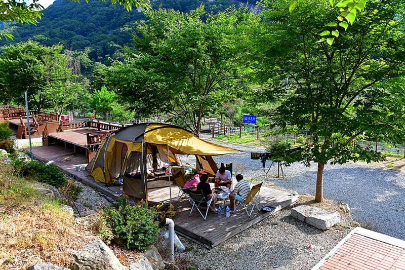 섬진강 마실캠핑장 대표 사진