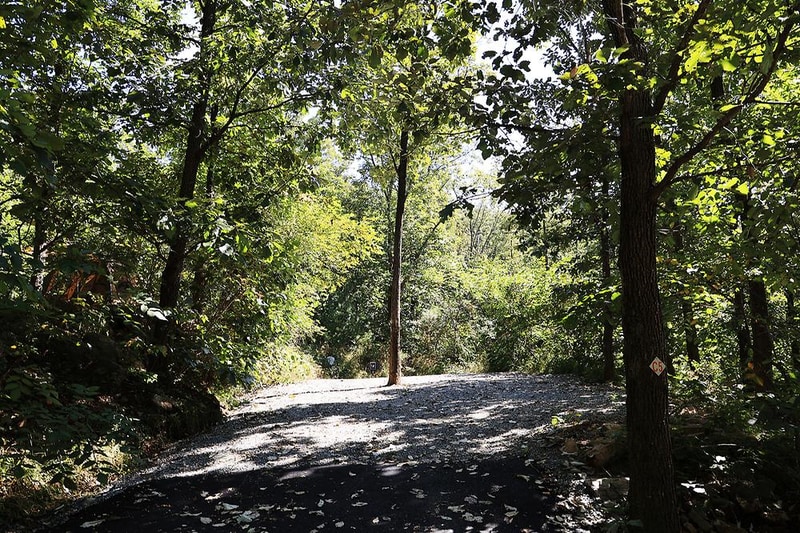 춘천 더숲 캠핑장 시설 사진 2