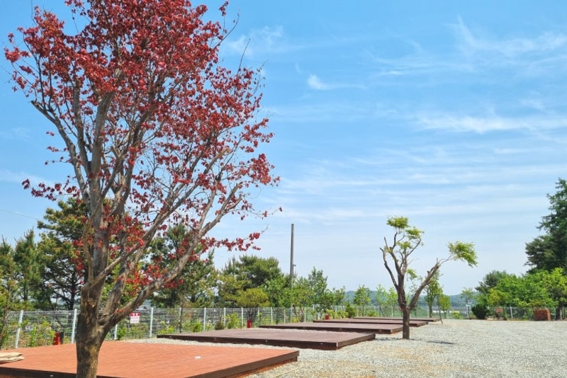 수영장 캠핑장 추천 수원 근교 홍성 내포레 캠핑장 후기