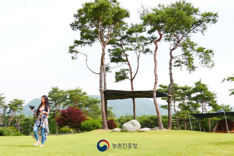 숲속의베리팜 시설 사진 38