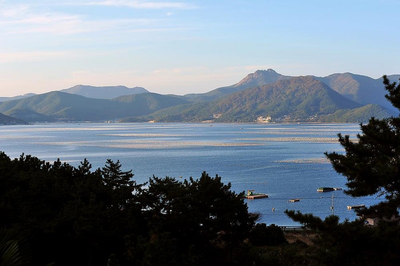 문화관광농원청소년야영장 시설 사진 10