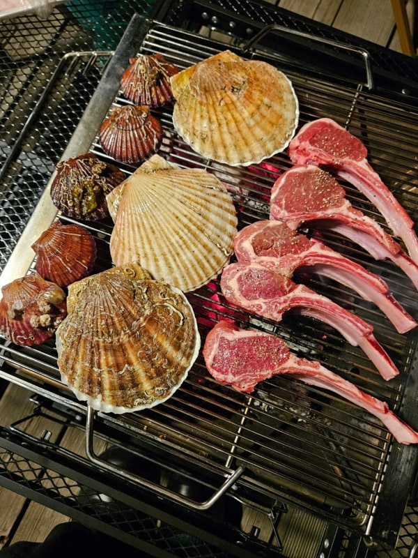 [홍천 캠핑] 4.1벚꽃캠핑 대실패♀️ 후기 ⛺️산으로캠핑장...