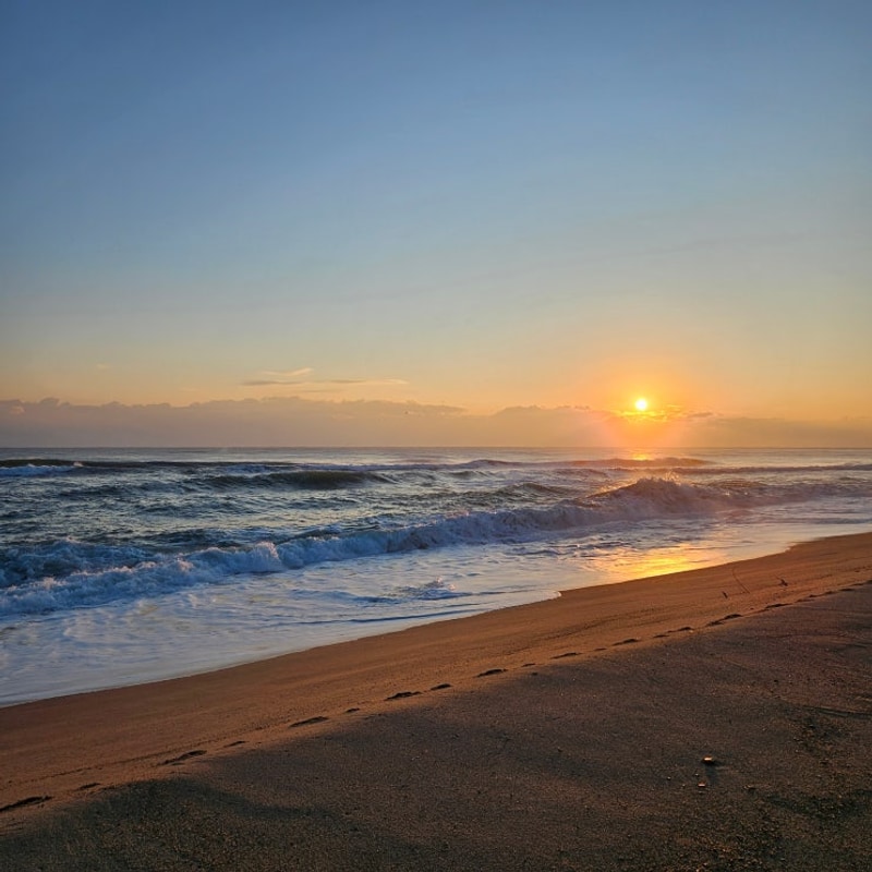 반려견동반캠핑 | 울진염전해변캠핑장 | 사업가 부부의 평일...