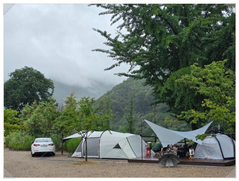 따라 별빛 머무는 곳 영동 자연 속 감성캠핑 별의바다 조동캠핑장