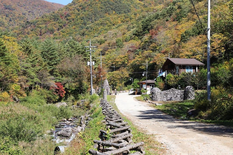 국립두타산자연휴양림 시설 사진 15