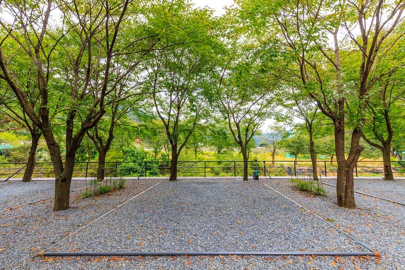 솔내음캠핑장 시설 사진 17