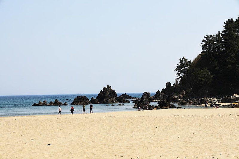 맹방 비치캠핑장 시설 사진 3