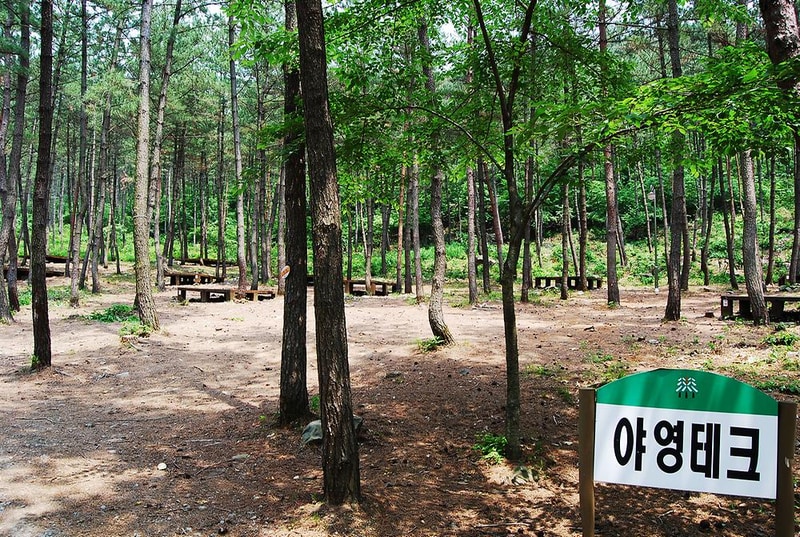 희리산 해송자연휴양림 일반야영장 시설 사진 5