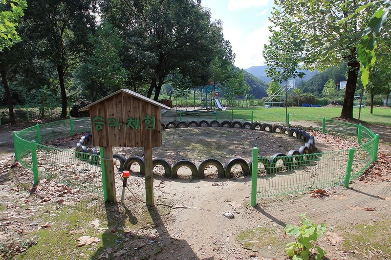 햇살아래 캠핑장 시설 사진 10