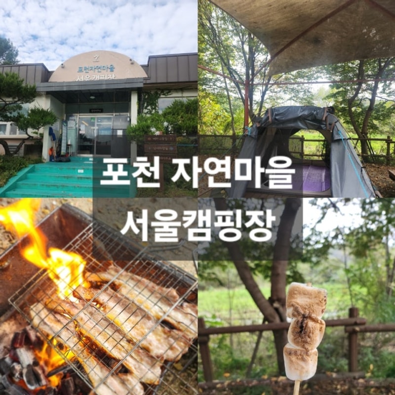 포천 자연마을 캠핑장 후기 | 예약방법과 명당자리