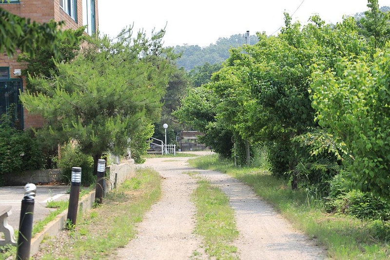 황산도캠핑장 시설 사진 15