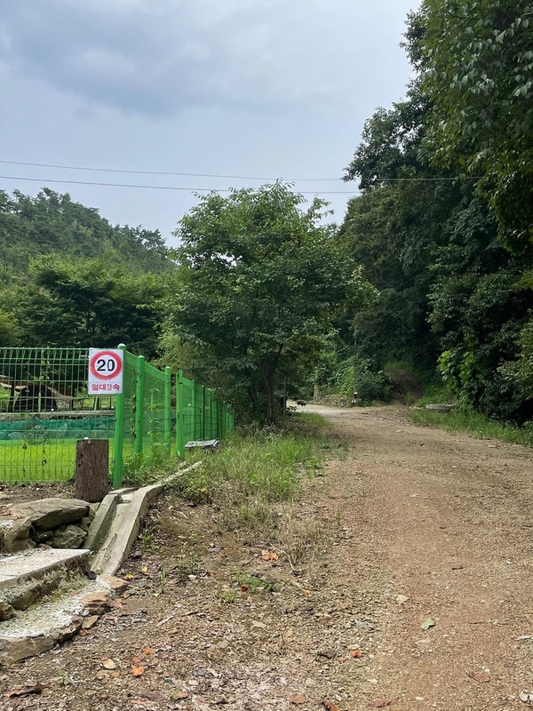 반딧불 캠핑장 시설 사진 38