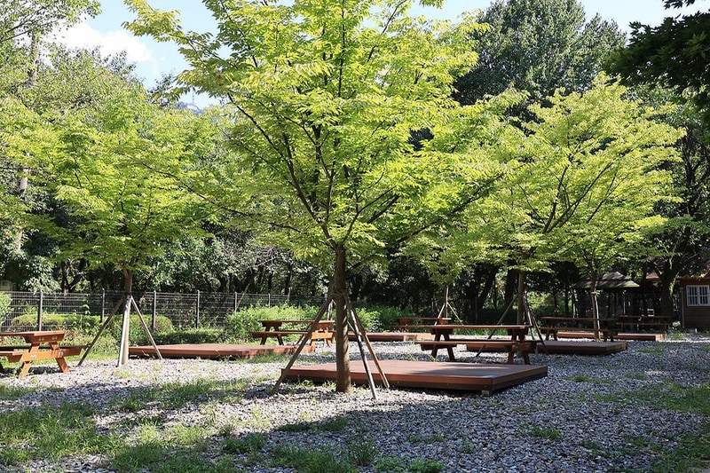 관악산 계곡 캠핑장 시설 사진 15