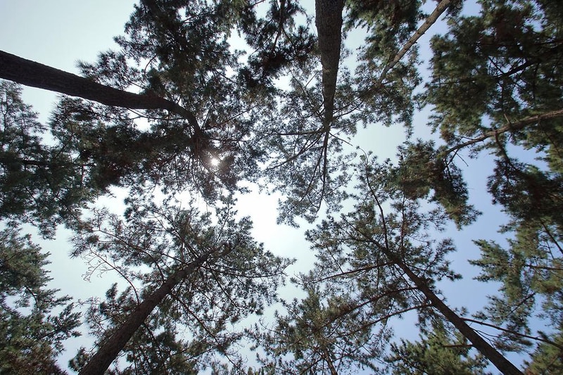 곰섬야영장 시설 사진 2