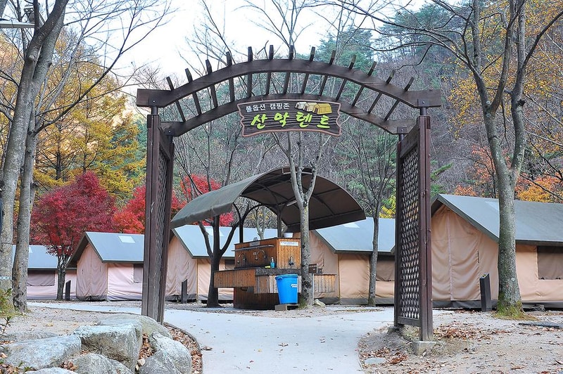 소백산국립공원 남천야영장 시설 사진 13