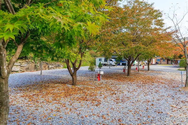 별하숲캠핑장 시설 사진 23