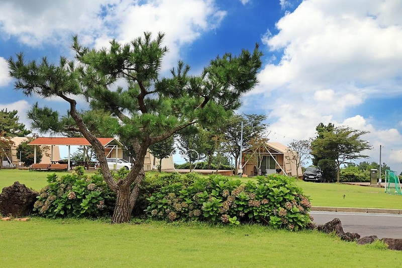 녹고뫼캠핑장 관광농원 시설 사진 25